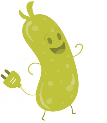 Pickle_logo4