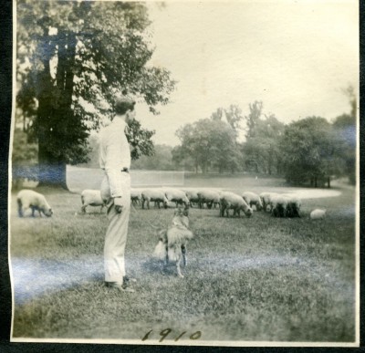 A member of the Weinberg family, with the family dog, in Druid Hill Park, 1910.  (The park’s flock of sheep play a role in the book.)  Donated by Jan L. Weinberg. JMM 1996.50.27k.6