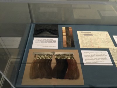 Hair and skin swatches used to classify subjects.