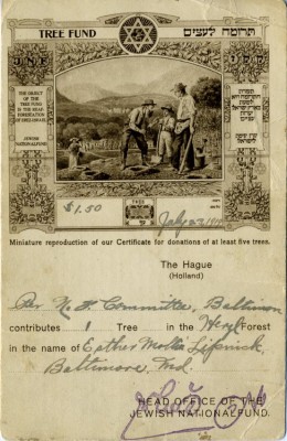 Postcard certificate for the purchase of a tree for the Jewish National Fund, Tree Fund, 1919. JMM 1988.99.1