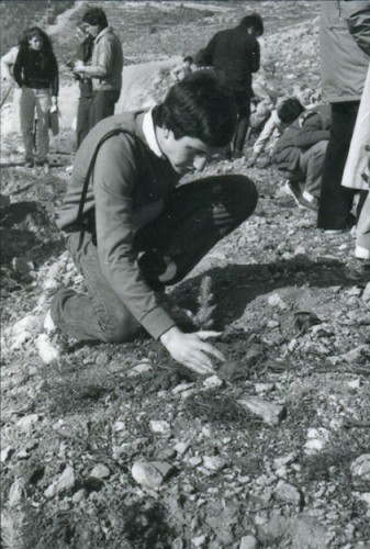 Young Marylanders participate in planting trees while on an Associated Jewish Charities sponsored Mission to Israel. JMM 1995.189.392a