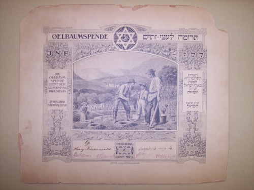 Certificate presented to Dr. Harry Friedenwald for his contributions to the "Olive Tree Fund" of the Jewish National Fund, 1908. JMM T1989.79