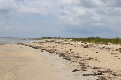 A sandy coastline.