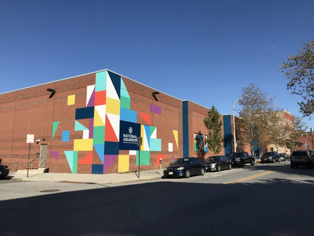 The Animal Care and Rescue Center, a squat brick building with brightly painted shapes on two sides.